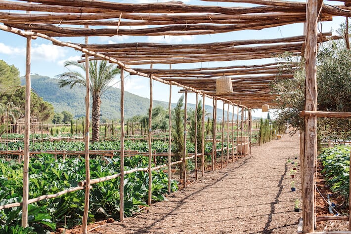 Hotels We Love: Agriturismo Atzaró, Ibiza - Orto biologico (Ph. Atzaro)